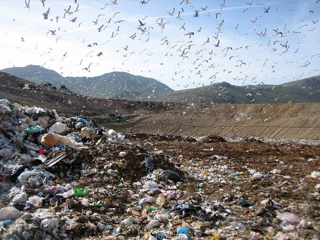 Cimitero Rifiuti